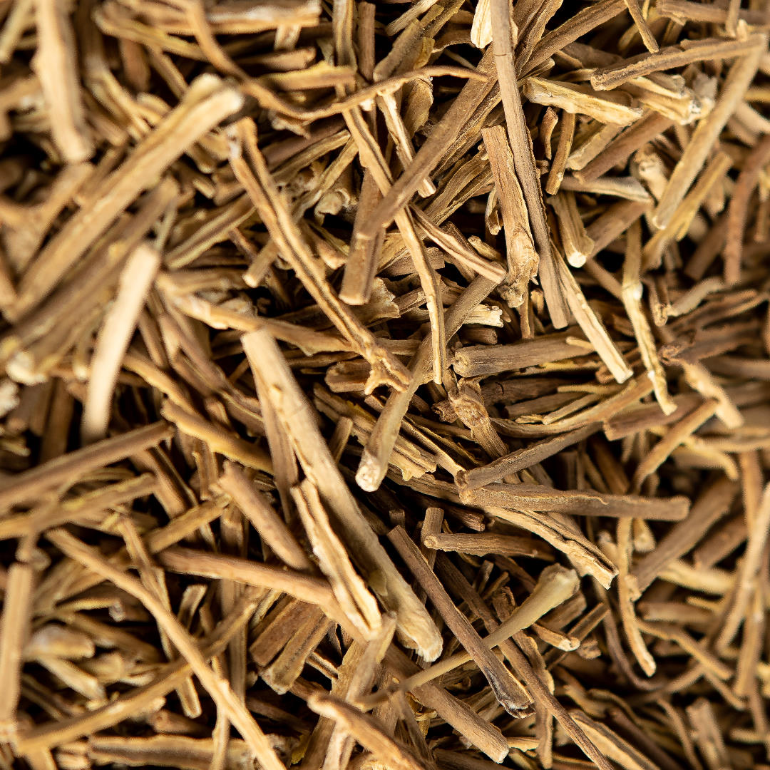 FCV / Burley Stem